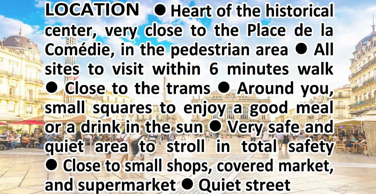 몽펠리에 Comedie Musee-Fabre Parking Offert Climatisation 아파트 외부 사진